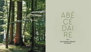 Gazeteer of France’s great oak woods – Tronçais, a showcase for French oak – Part 1
