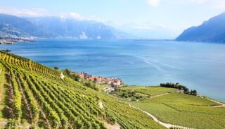 Les terrasses séculaires du vignoble du Lavaux (Suisse)