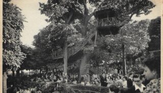 History of tree houses