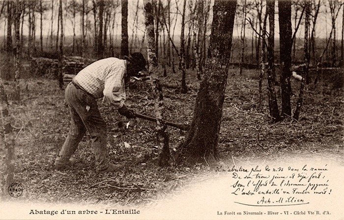2 - The Forest in Nivernais – The notch