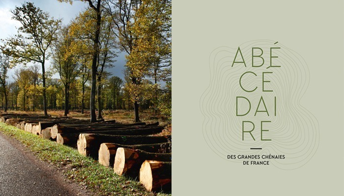 Gazeteer of France’s great oak woods – Fénétrange