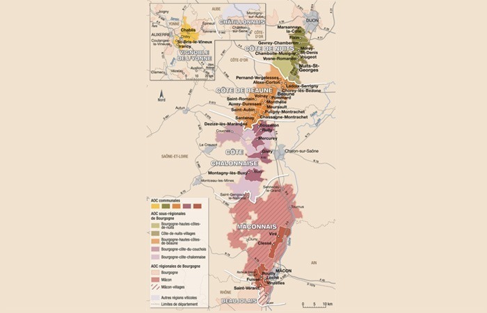 Deciphering the appellations of the Bourgogne vineyard
